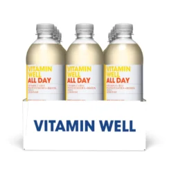 12 x Vitamin Well 500 ml All day